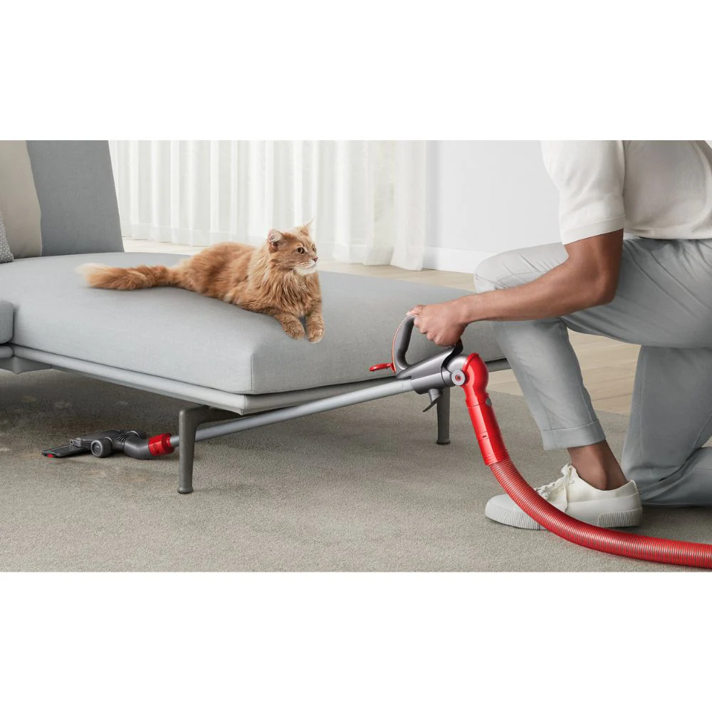 Dyson Ball™ Animal Multi-Floor Vacuum - Image 5