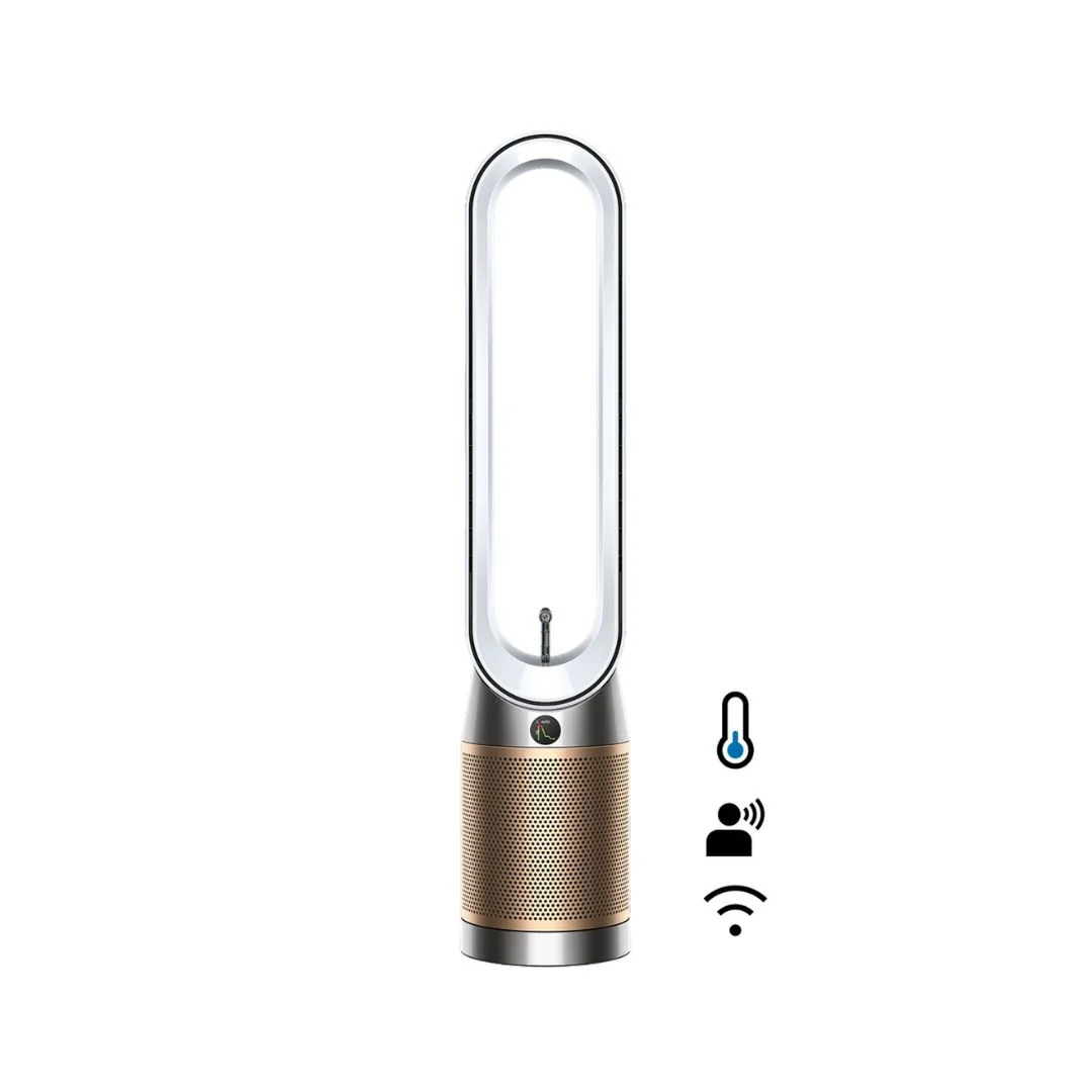 Dyson